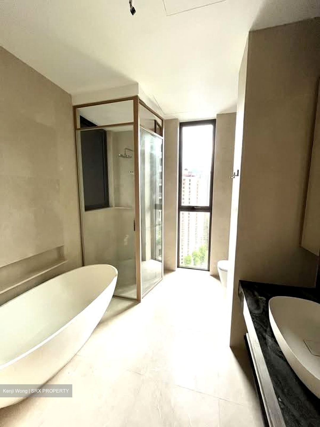 The Avenir (D9), Condominium #561634591